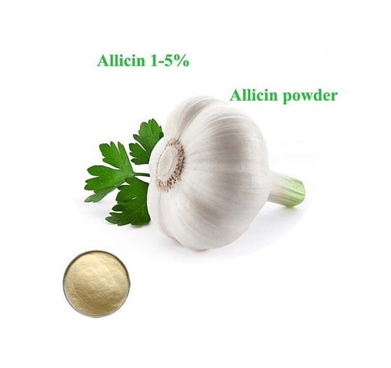 allicin powder,feed grade