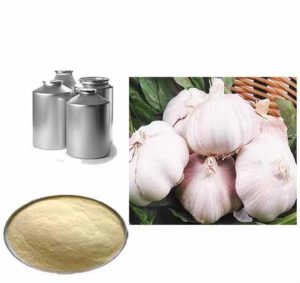 allicin powder extract