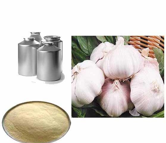 allicine poeder extract