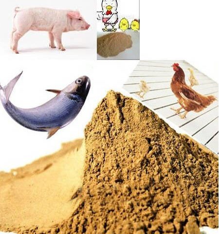 feed yeast powder