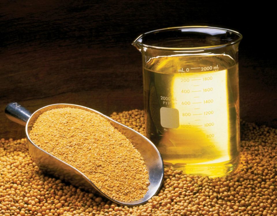 soybean_meal