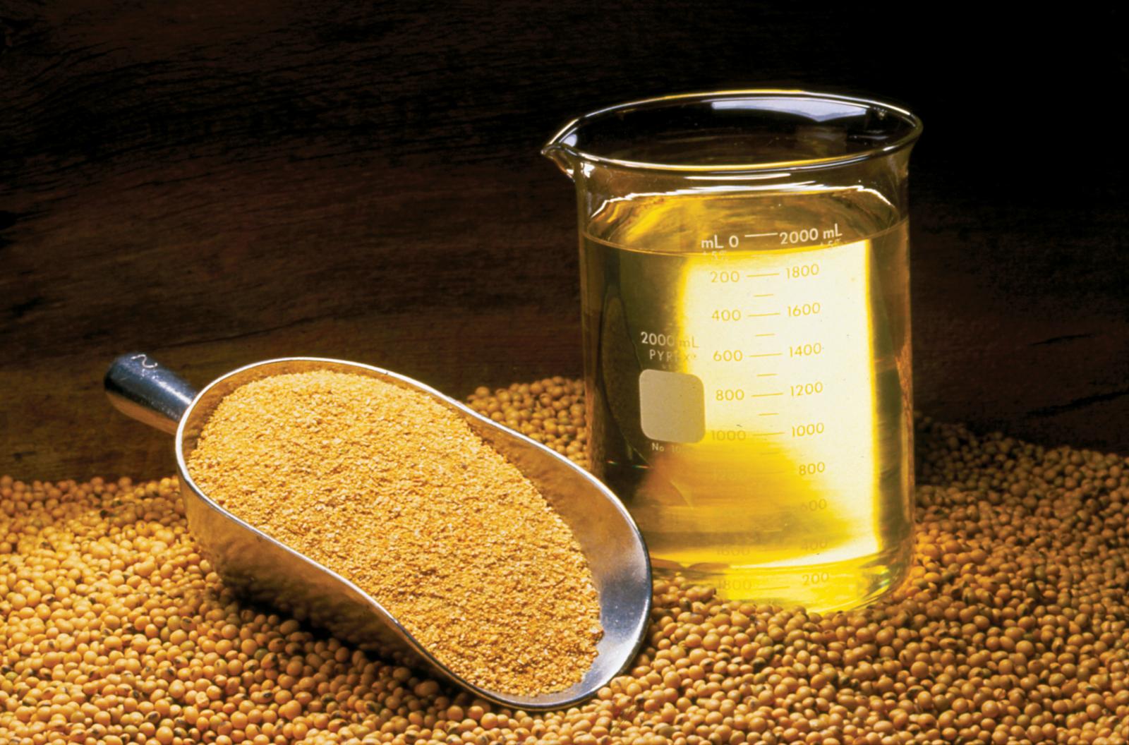 soybean_meal