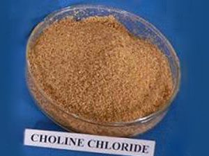 choline chloride