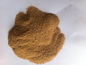feed yeast