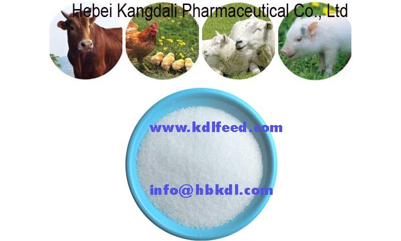 pluimvee feed verslavend betaïne Hcl,98% Feed Supplement
