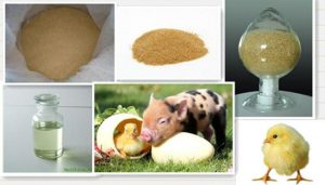 Choline Chloride Feed Grade