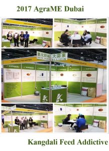 2017 AgraME Dubai