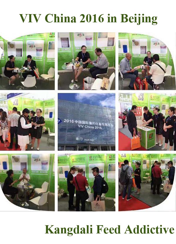 VIV China 2016 in Beijing