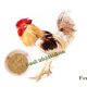 feed yeast for poultry