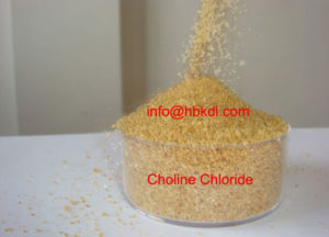 Choline Chloride Vitamin B4 Animal Feed Additive
