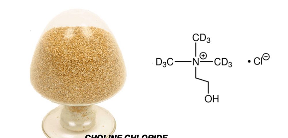 choline chloride feed addictive