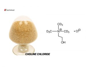 choline chloride feed addictive