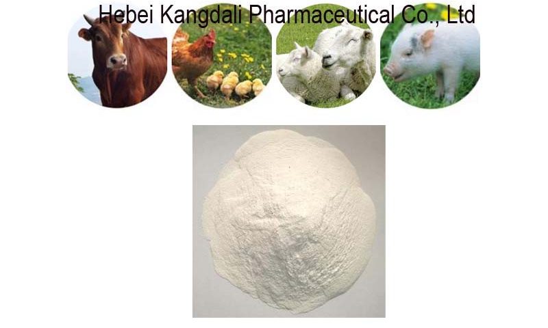 DCP DiCalcium Phosphate poultry Feed Grade-DCP18%