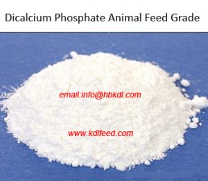 Dicalcium Phosphate Feed Grade,DCP feed addictive manufacturer