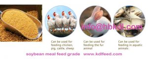 soybean meal poultry feed