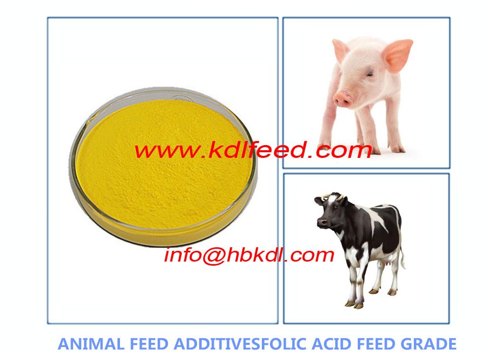 Vitamin B9 Folate Folic Acid -poultry nutrition and feeding Additives