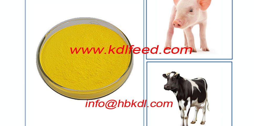 Vitamin B9 Folate Folic Acid -poultry nutrition and feeding Additives