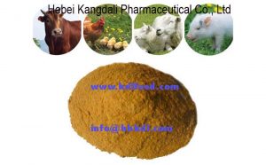 poultry feed grade Corn Gluten meal