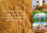 Animal Feed Additive Yellow Corn Gluten Meal for Animal Feed