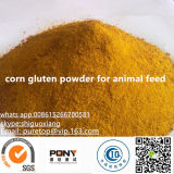 Corn Gluten Meal 60n untuk Pakan Ayam