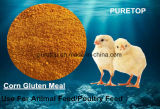 Corn Gluten Meal untuk Aditif Pakan