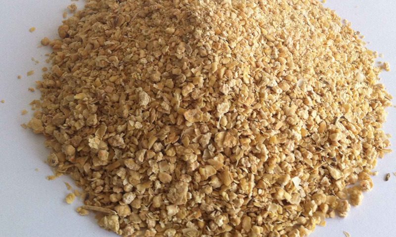 Protein Powder Corn Gluten Meal Animal Food