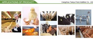 choline chloride 60% corn cob hot sale best price poultry feed